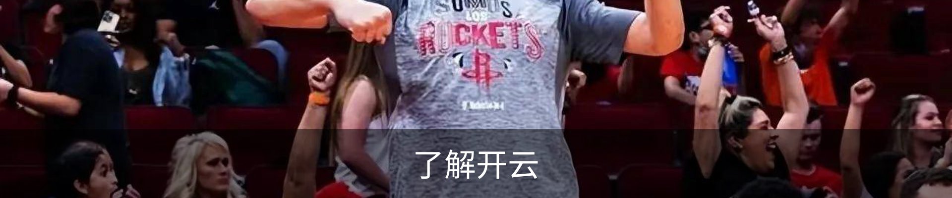 了解开云